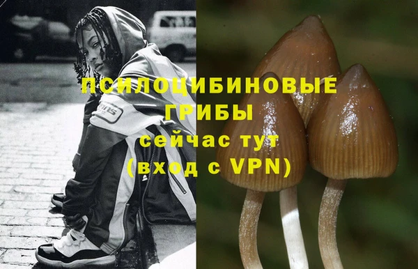 трава Алексеевка