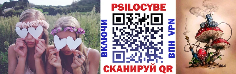 Галлюциногенные грибы Cubensis  Купить  Пойковский 